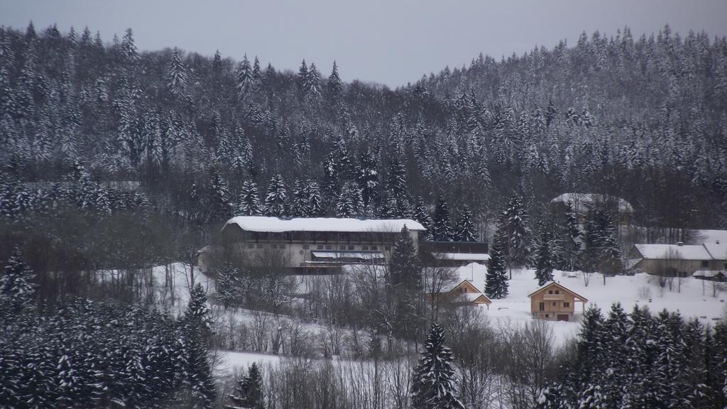 Hotel Le Grand Chalet Foncine-le-Haut Exterior foto